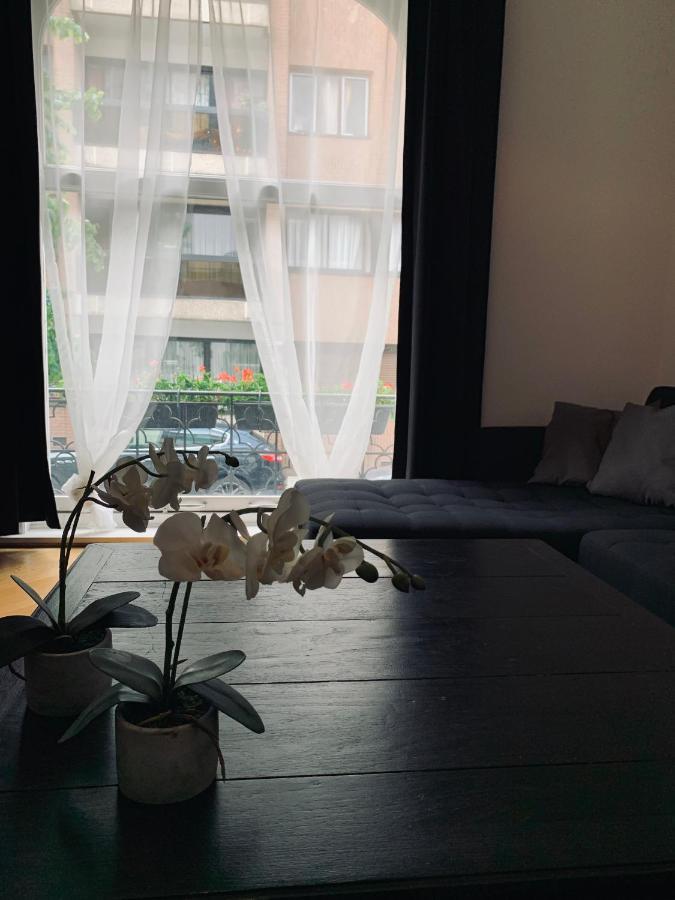 Chic Cocoon Guest House Saint-Gilles Экстерьер фото